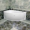 Акриловая ванна Vanessa (Radomir) Бергамо 168x100 L, с опорной рамой