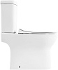 Унитаз-компакт BelBagno Steam BB130CPR безободковый